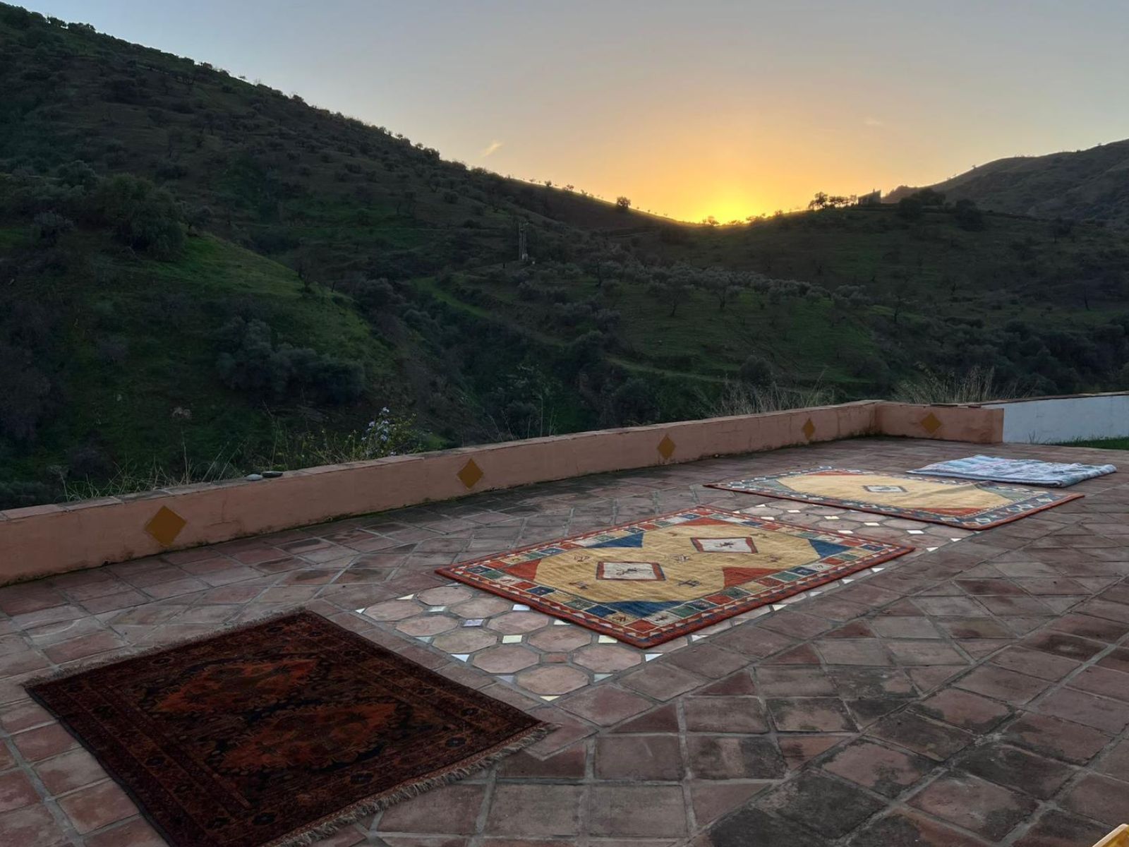 From Solitude to Legacy: My Journey with House of Andalus
