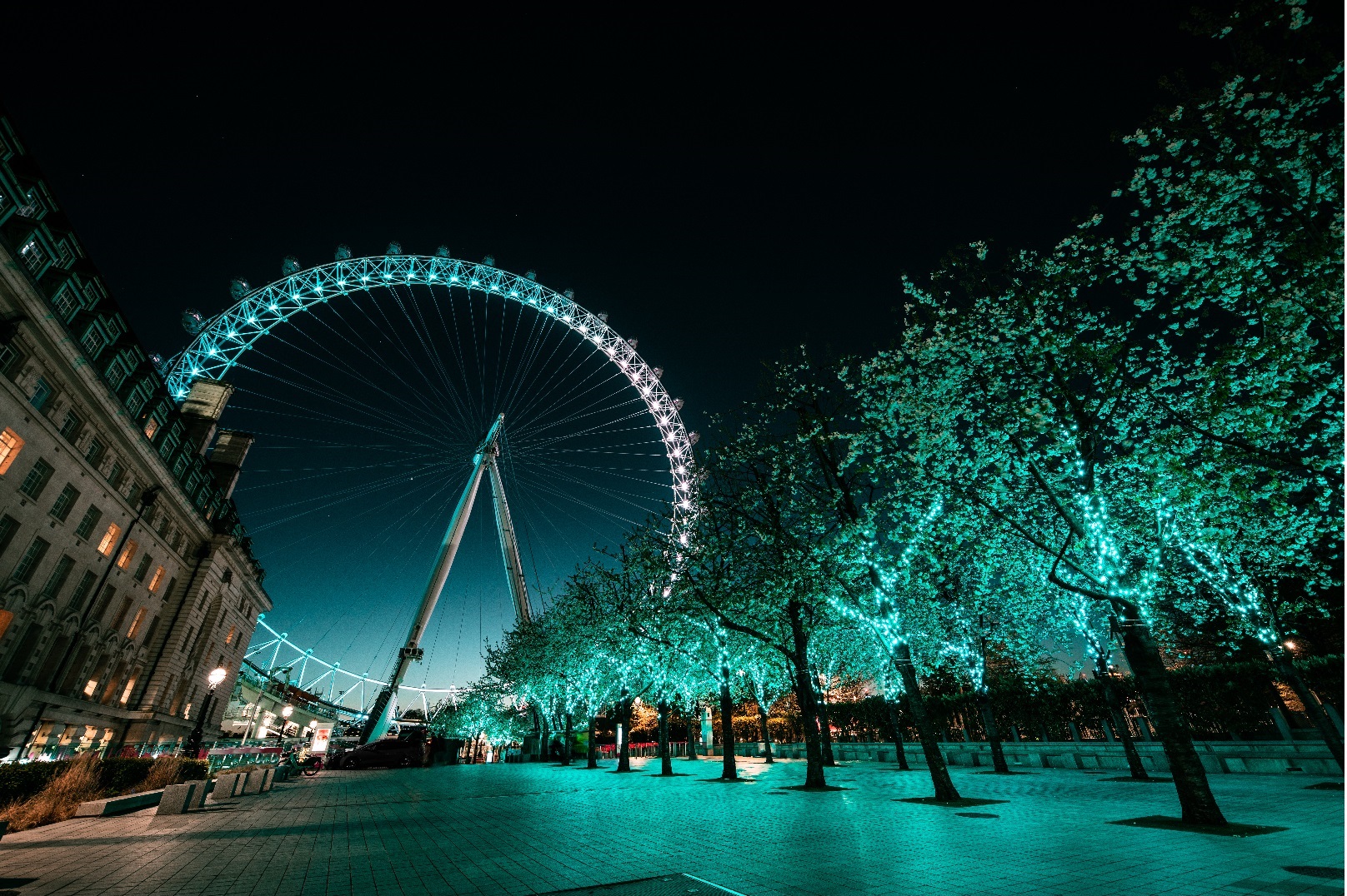 Eid Lights Initiative
